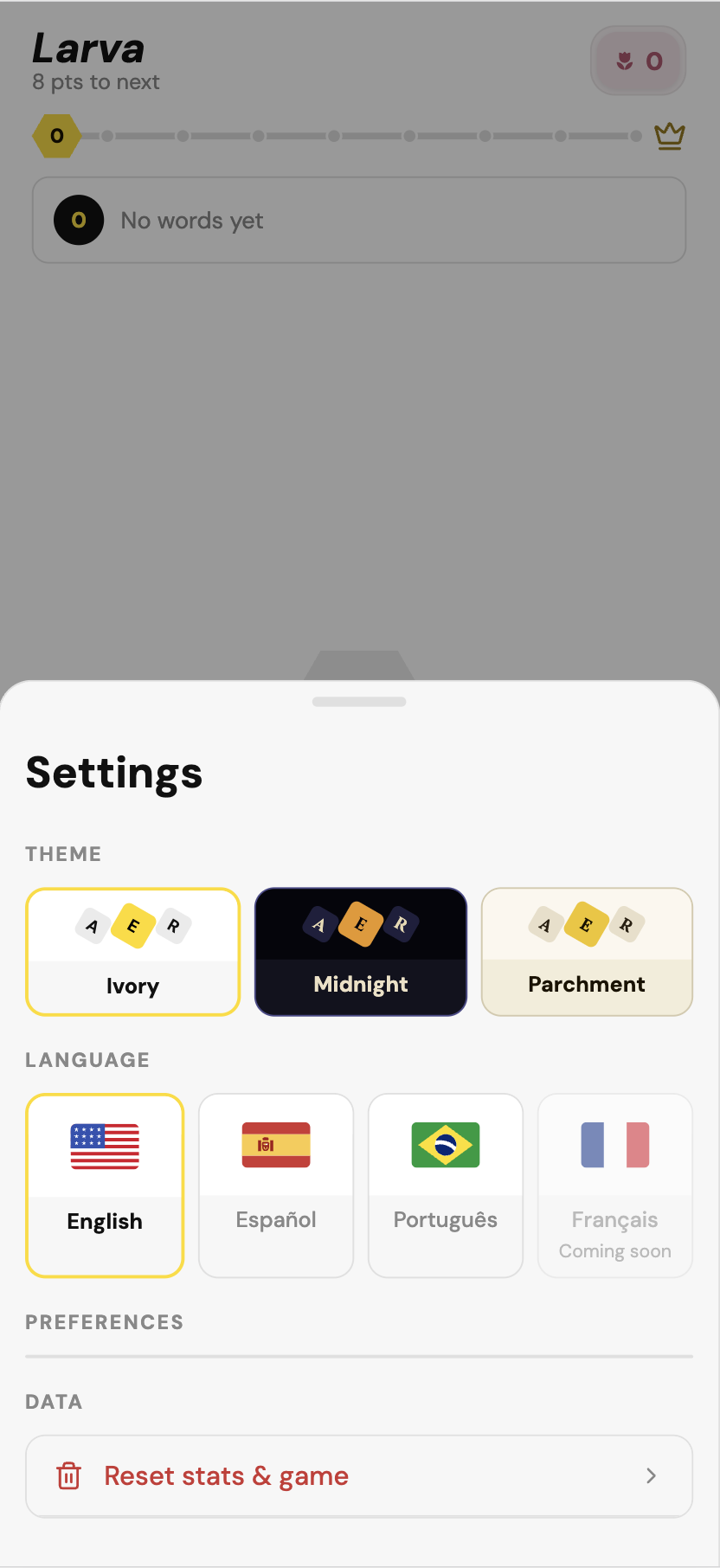 Settings screen with three themes and language selection